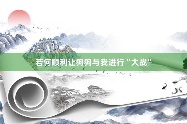若何顺利让狗狗与我进行“大战”